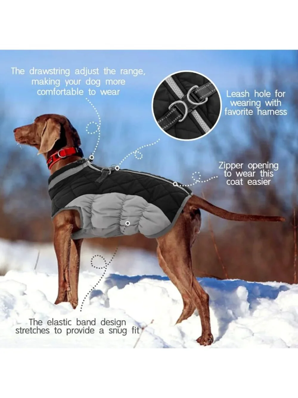 Cozy Fleece Dog Winter Jacket for Small Dogs with Harness - Warm Pet Coat